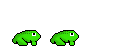 frogs
