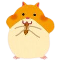 rin