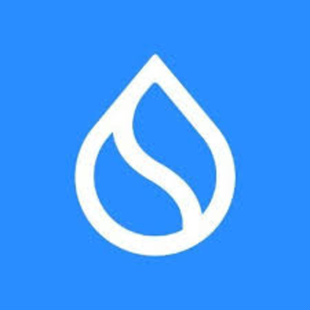TON Logo