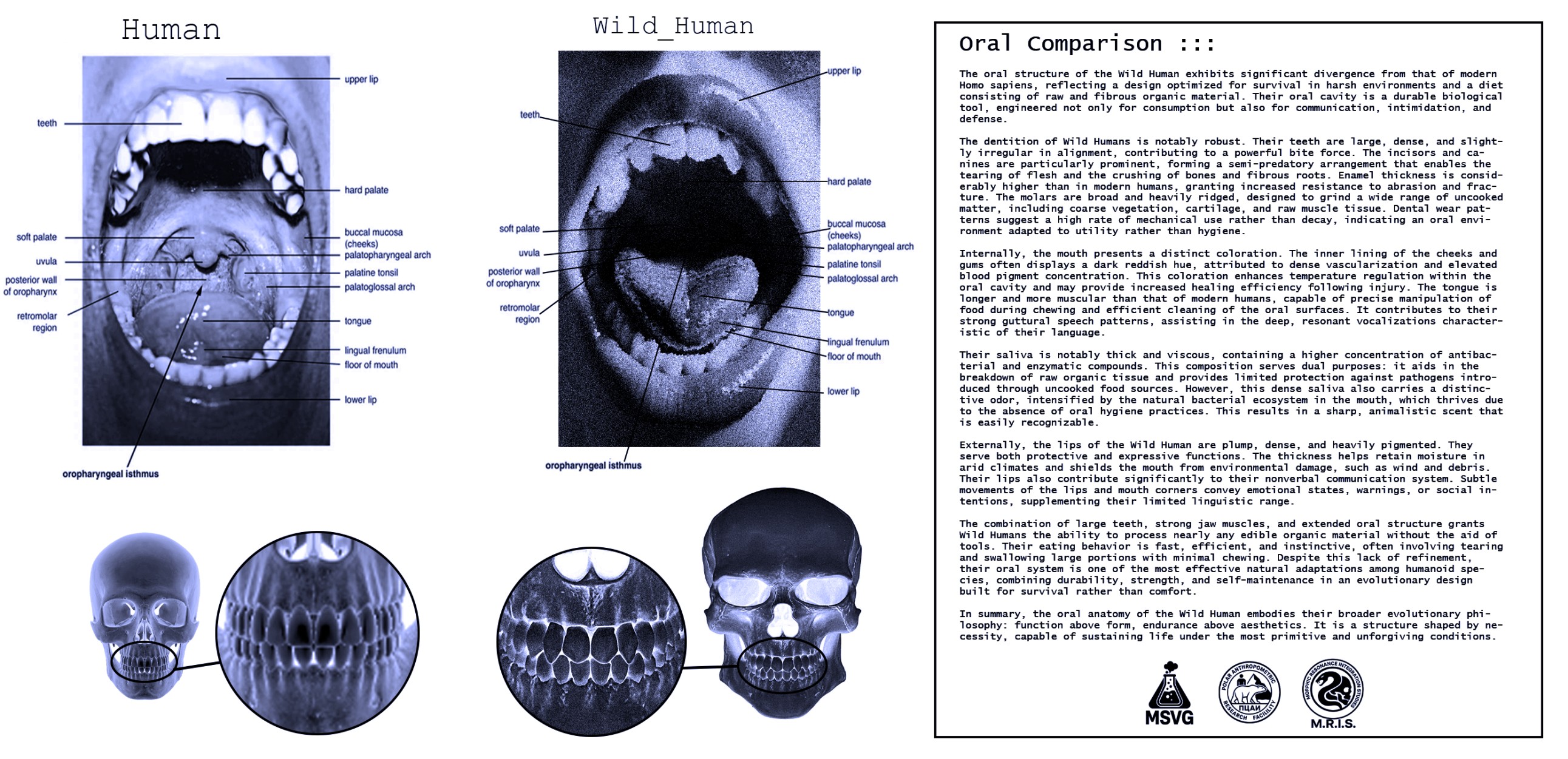 Research Image 9