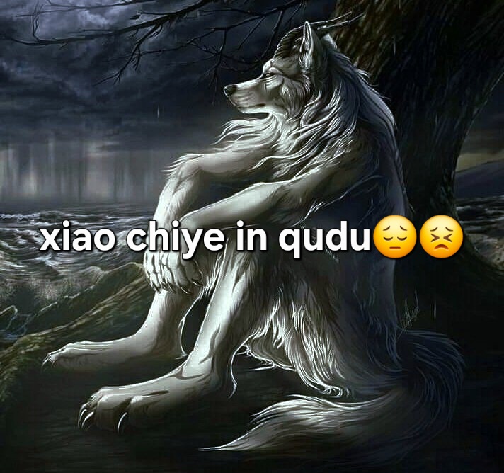 poor wolf
