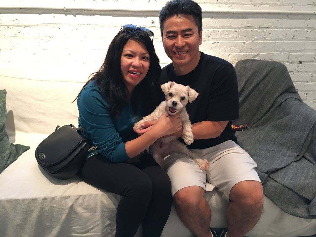 Dog Adoption