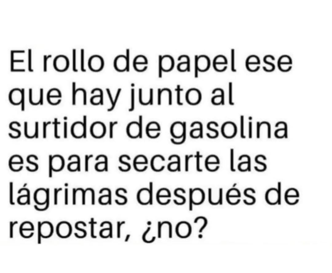 rs8pp3.jpg
