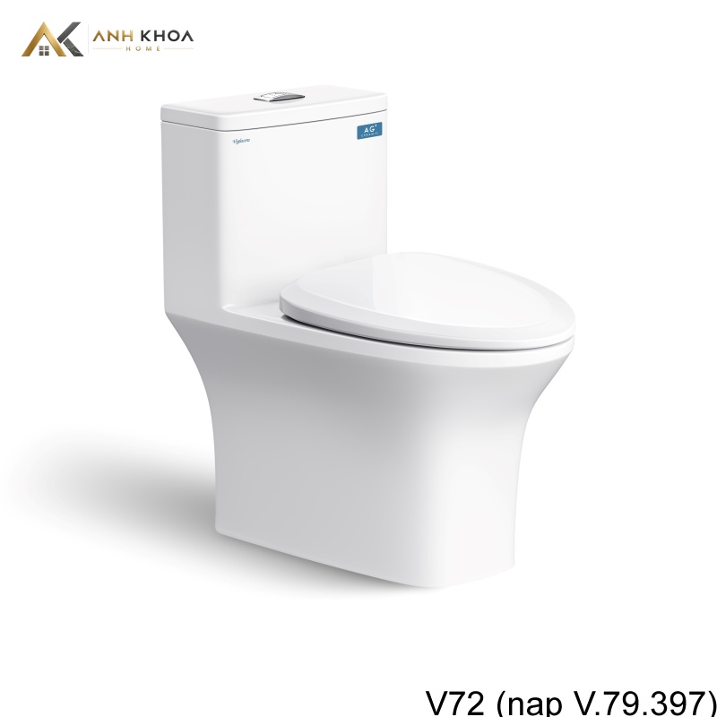 bon cau viglacera V72 (nap V 79 397)