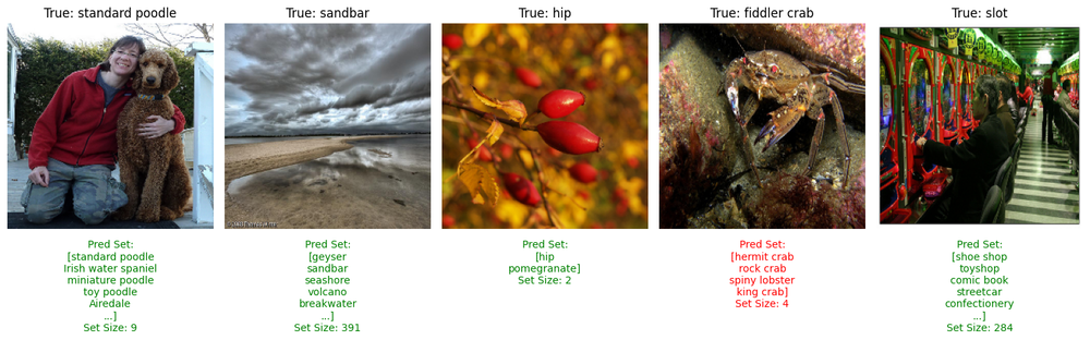 APS predictions on the ImageNet test dataset. Ground truth labels are above the image, predictions are below (correct in green, incorrect in red).