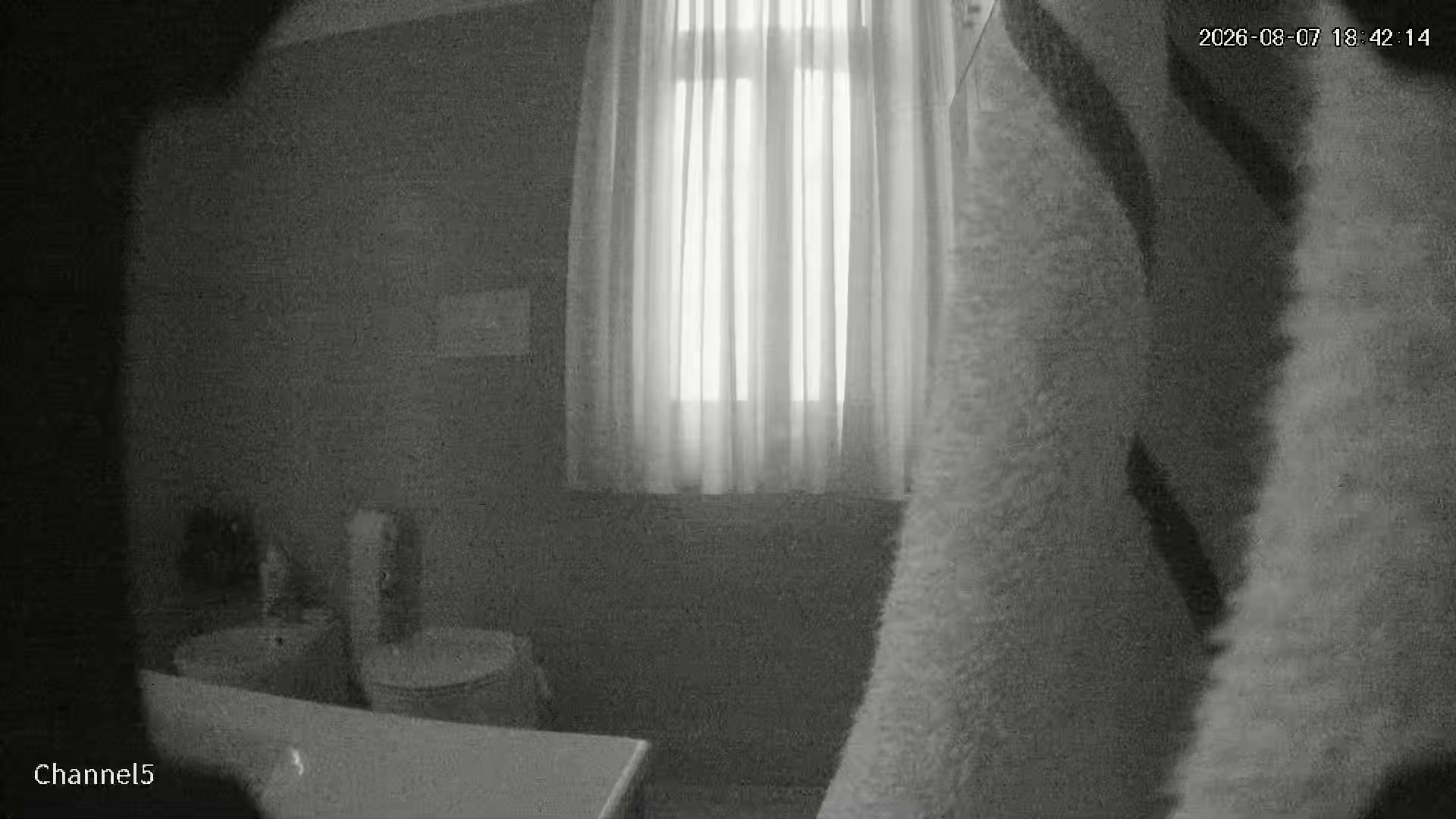 Hidden Voyeur — 1_4958556918806218815 — screenshot 2