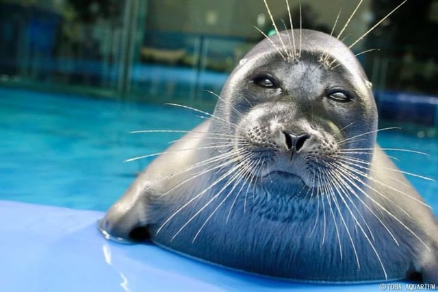 he's going to Kill You