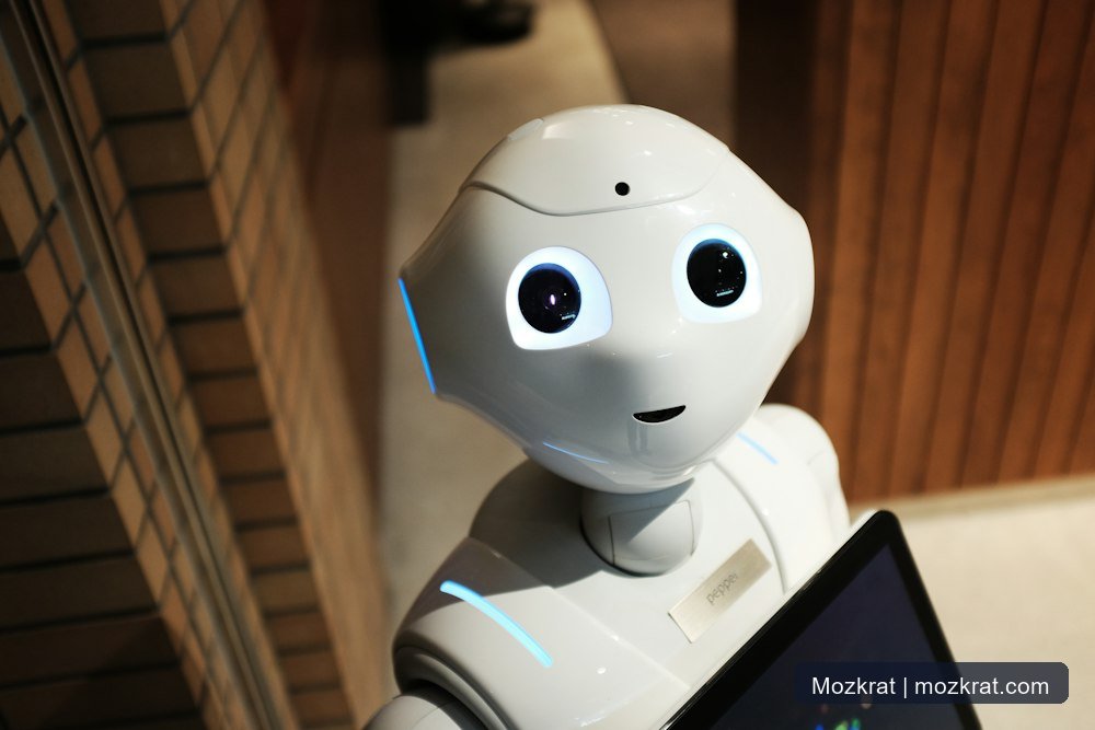Cutting-edge artificial intelligence and robotics research in higher education.