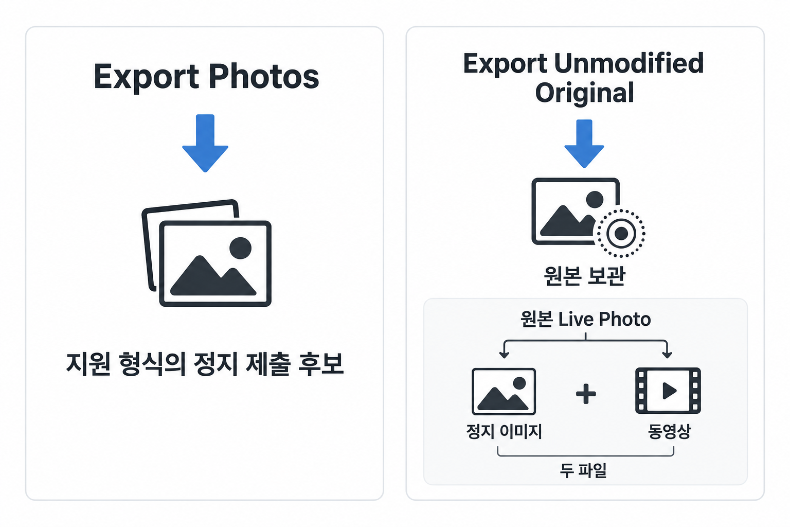 Mac 사진 내보내기의 제출 후보 준비와 무수정 원본 보관 목적 비교 개념도