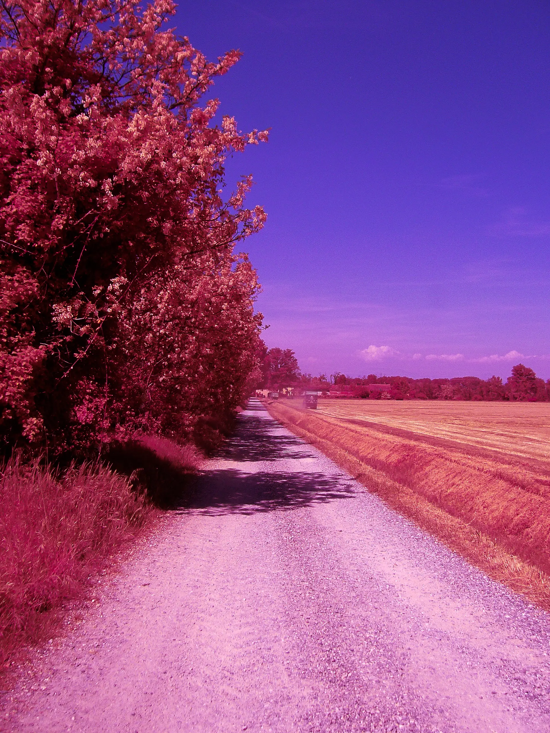 Infrared Digital