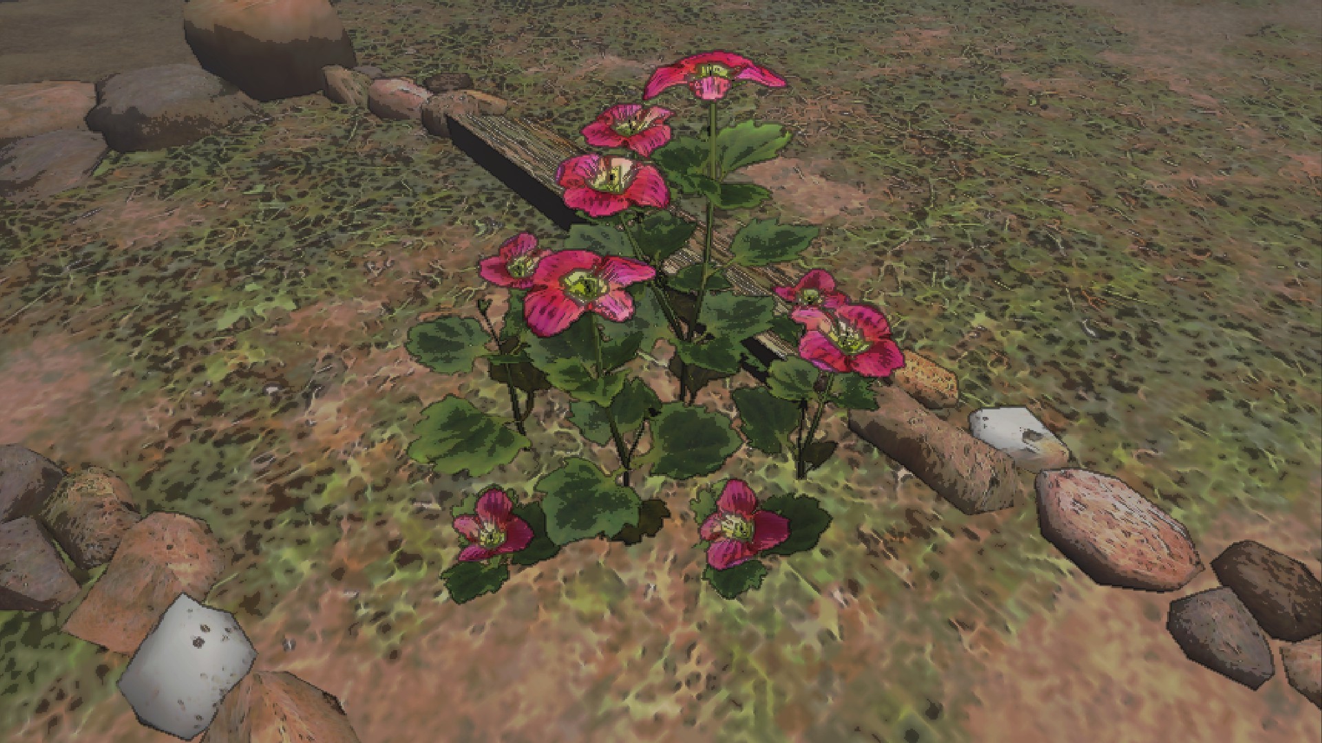 A pink-flowered 'figwort'.