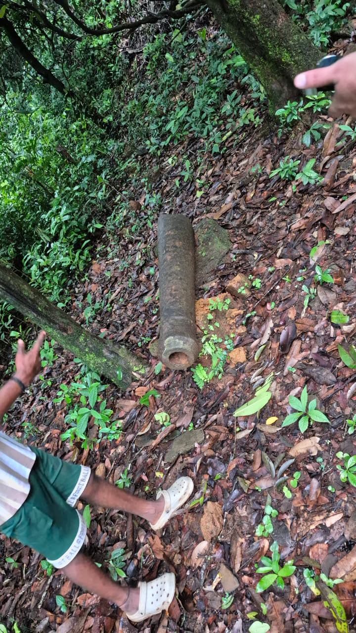 Imperial Artillery Cannon