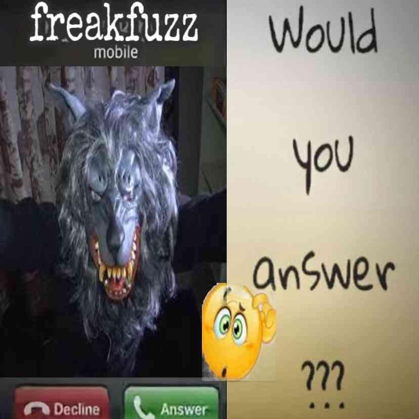 freakfuzz
