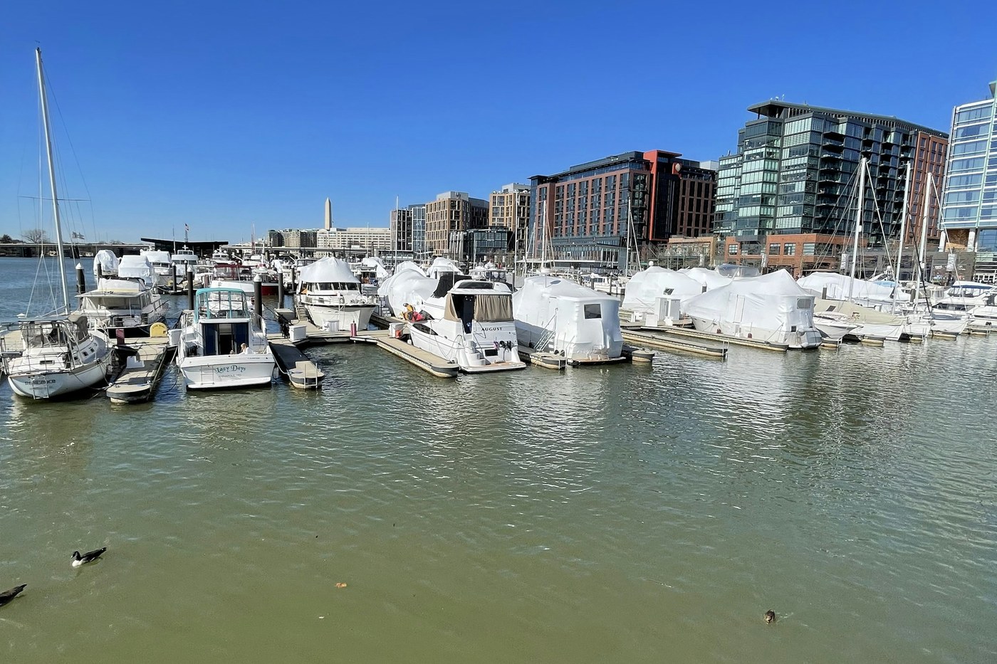 Boats docked at the Wharf along Washington’s Southwest Waterfront.