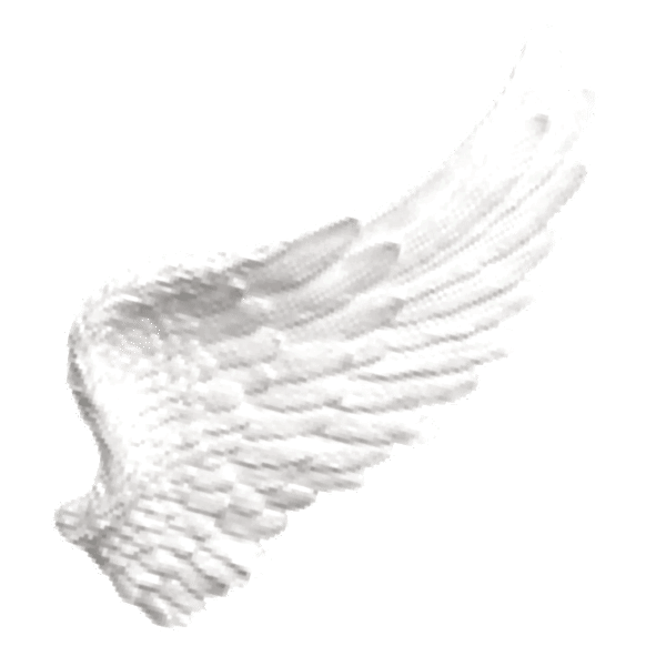 WINGRIGHT