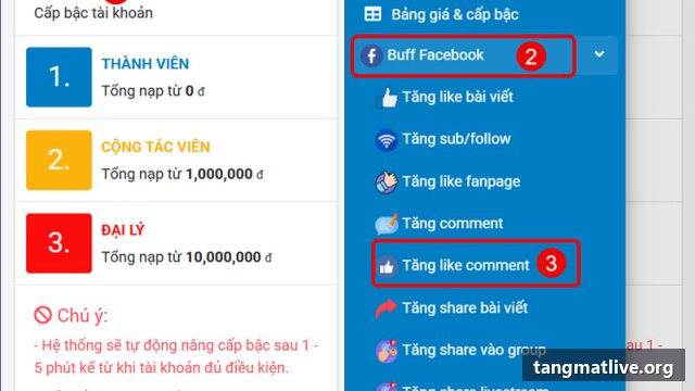 Dịch vụ tăng like Facebook tại Tangmatlive.org