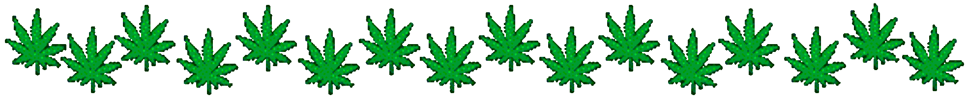 marijuana marijuana