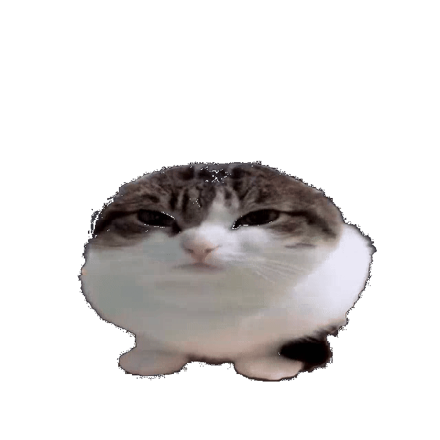 wawacatwawa