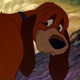 Tod, those days are over. I'm a hunting dog now.