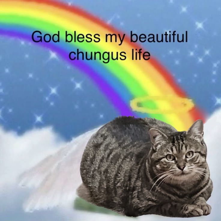 image from https://www.pinterest.com/pin/39617671719150373/