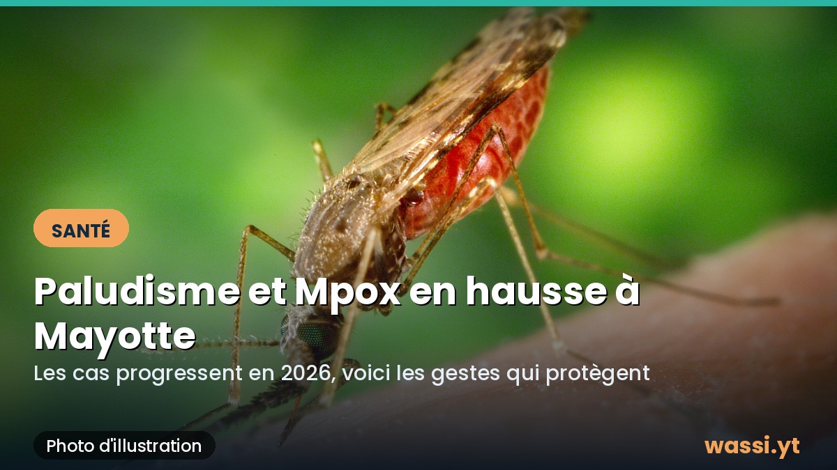 Paludisme et Mpox en hausse à Mayotte : comment se protéger