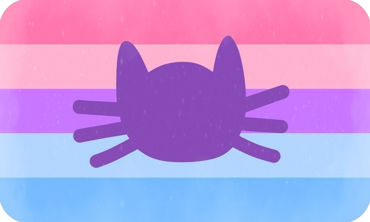 cat gender cat gender
