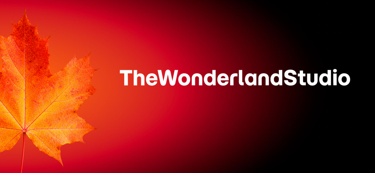 TheWonderlandStudio
