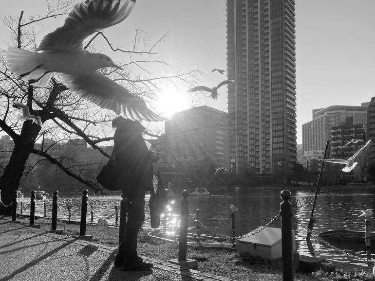 MASAMI AKITA, AKA MERZBOW