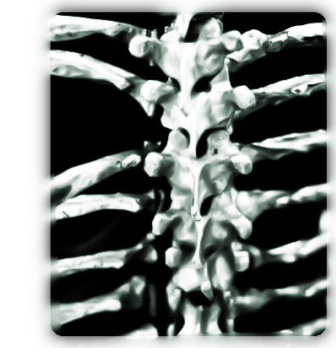 ribcage recoloured green