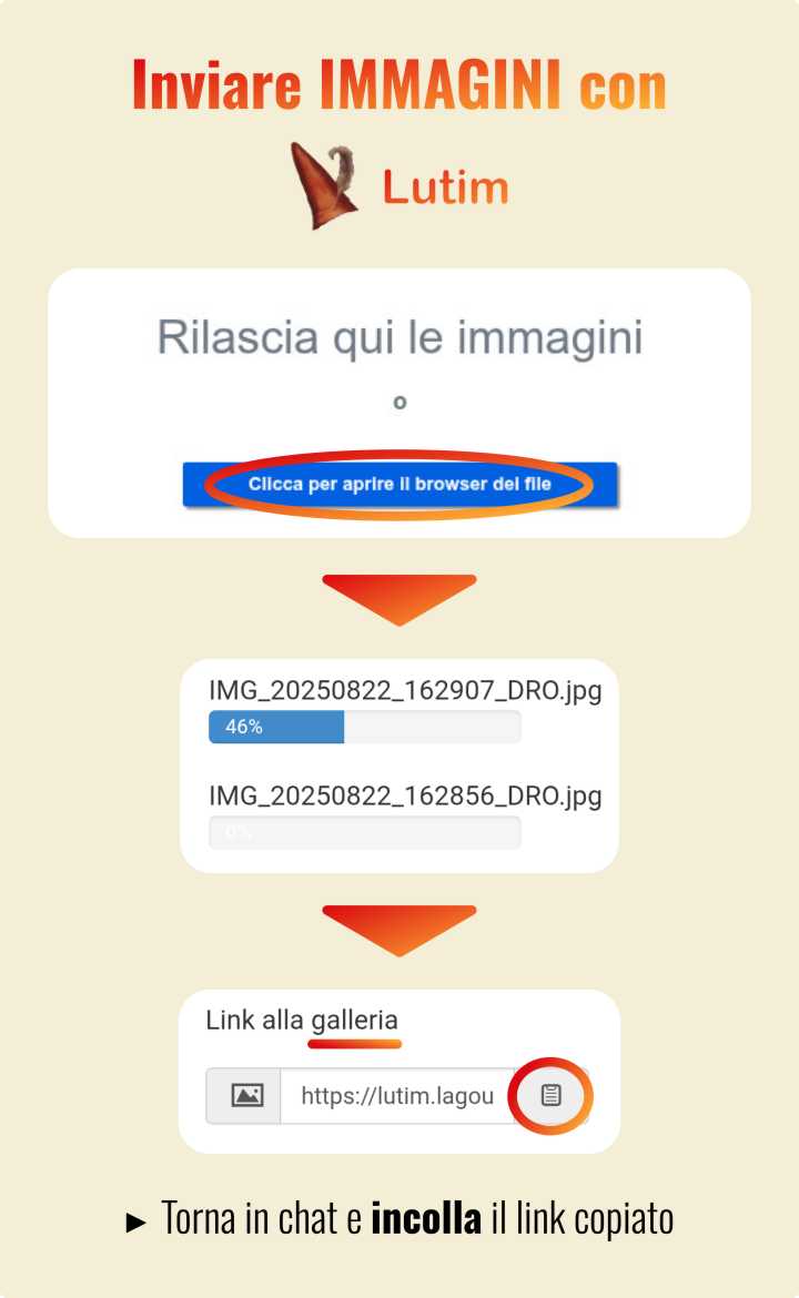 Uso di Lutim per inviare immagini