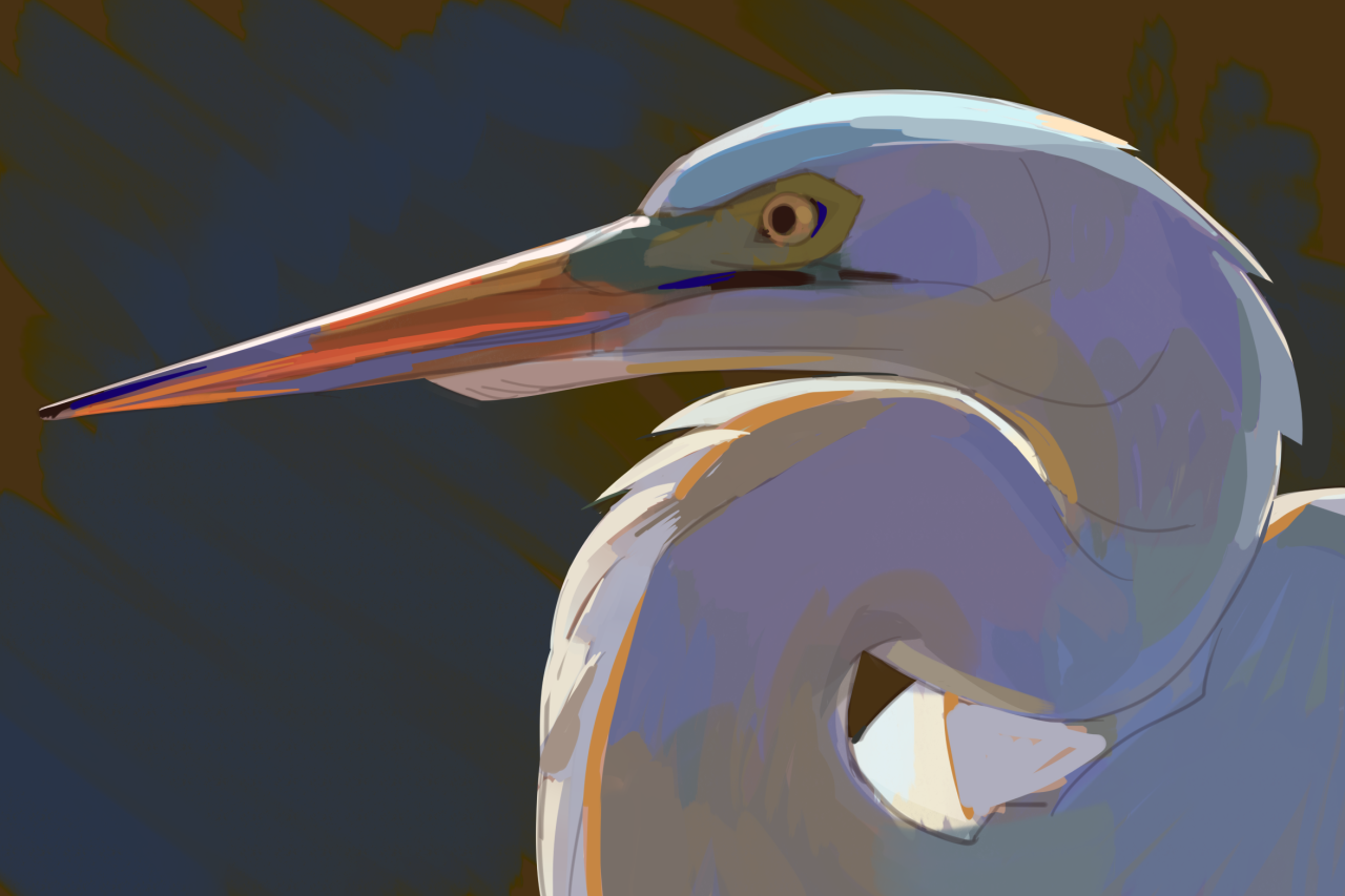 egret color study, October 2022