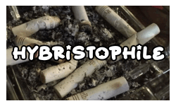 hybristophile