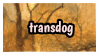 transdog