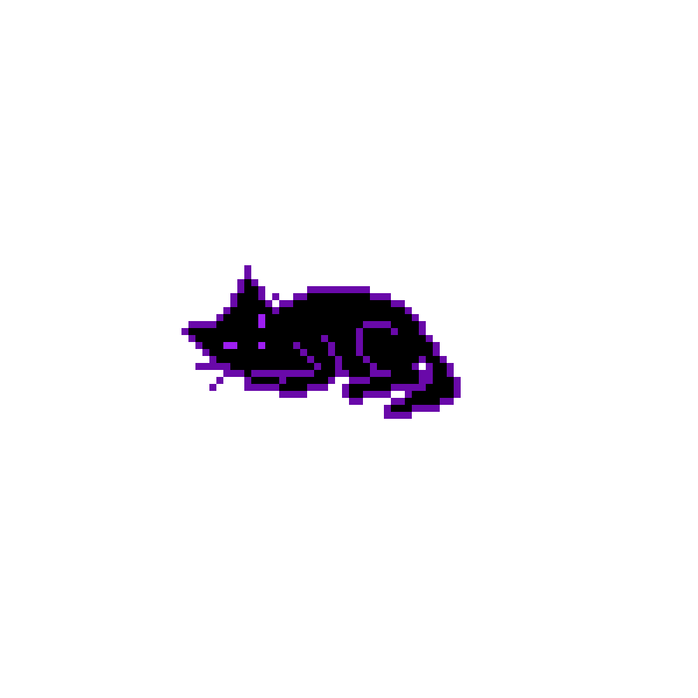 Sleeping cat zzz
