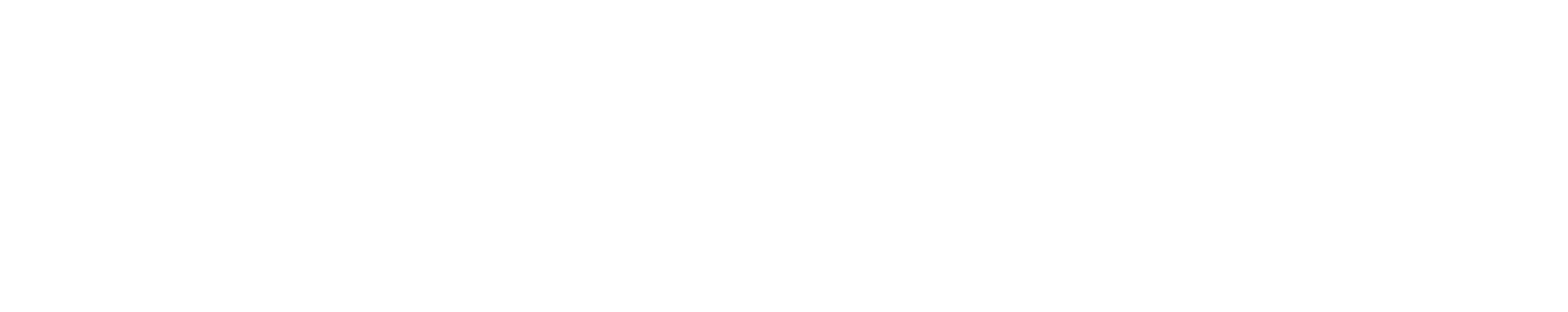 Nedspice