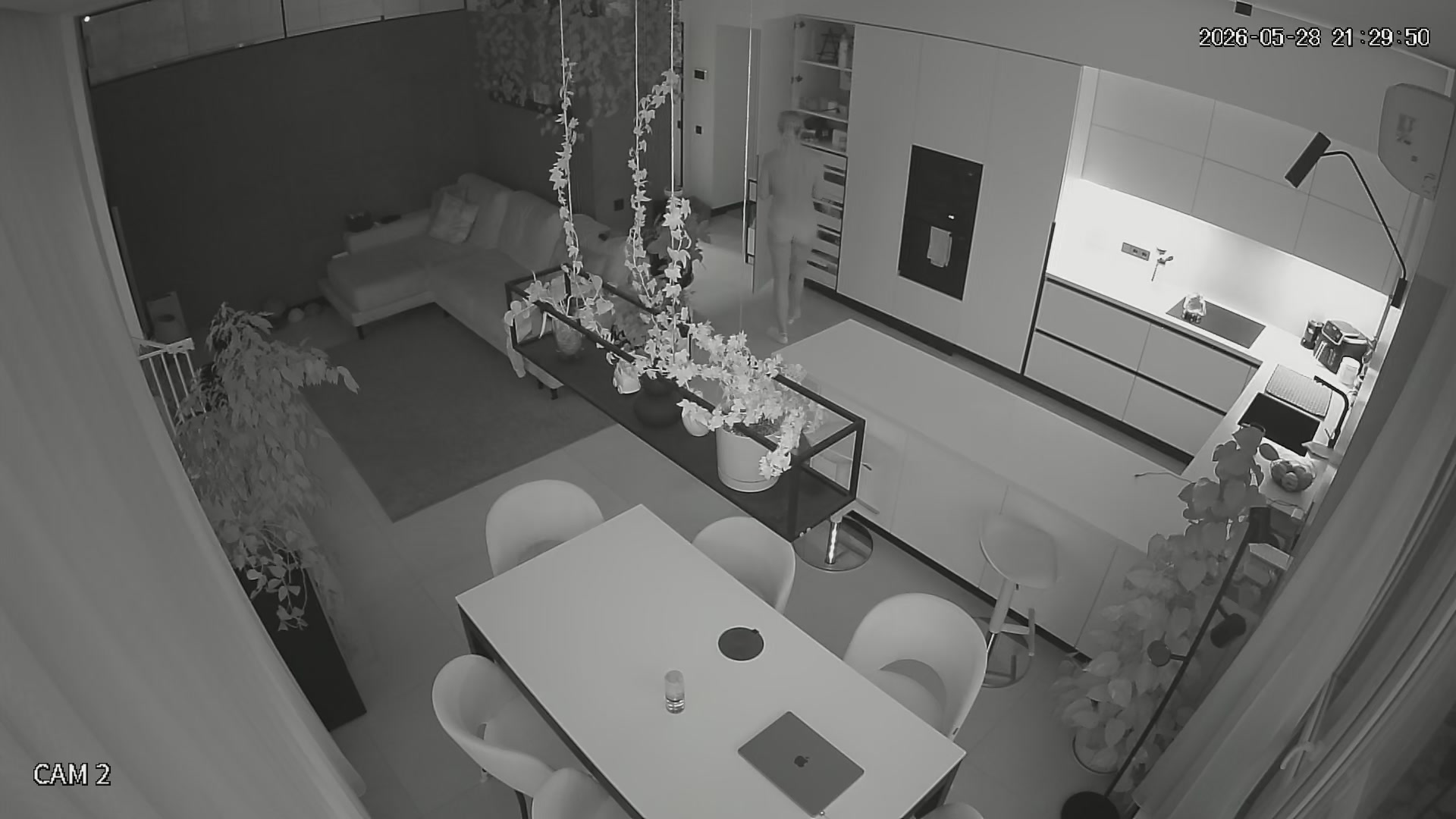 Hidden Voyeur 2 — 1_4958585488928672503 — screenshot 2