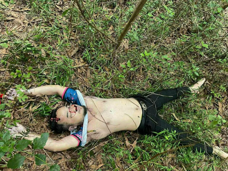 Ảnh minh họa bài viết