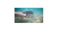 stamp 2