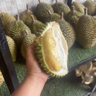 Durian Bali Singaraja Biasa - Harga Terjangkau