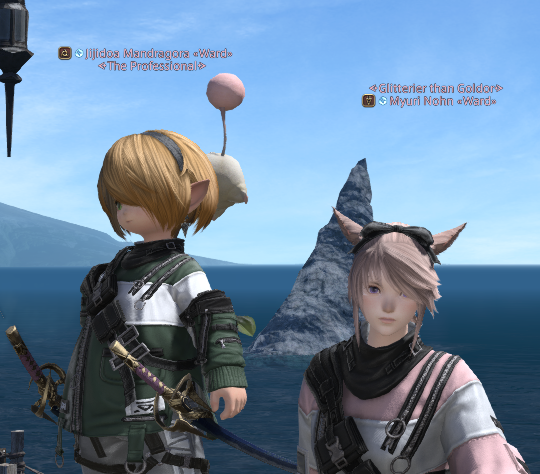 FFXIV screenshot of a Miqo'te and a Lalafell.