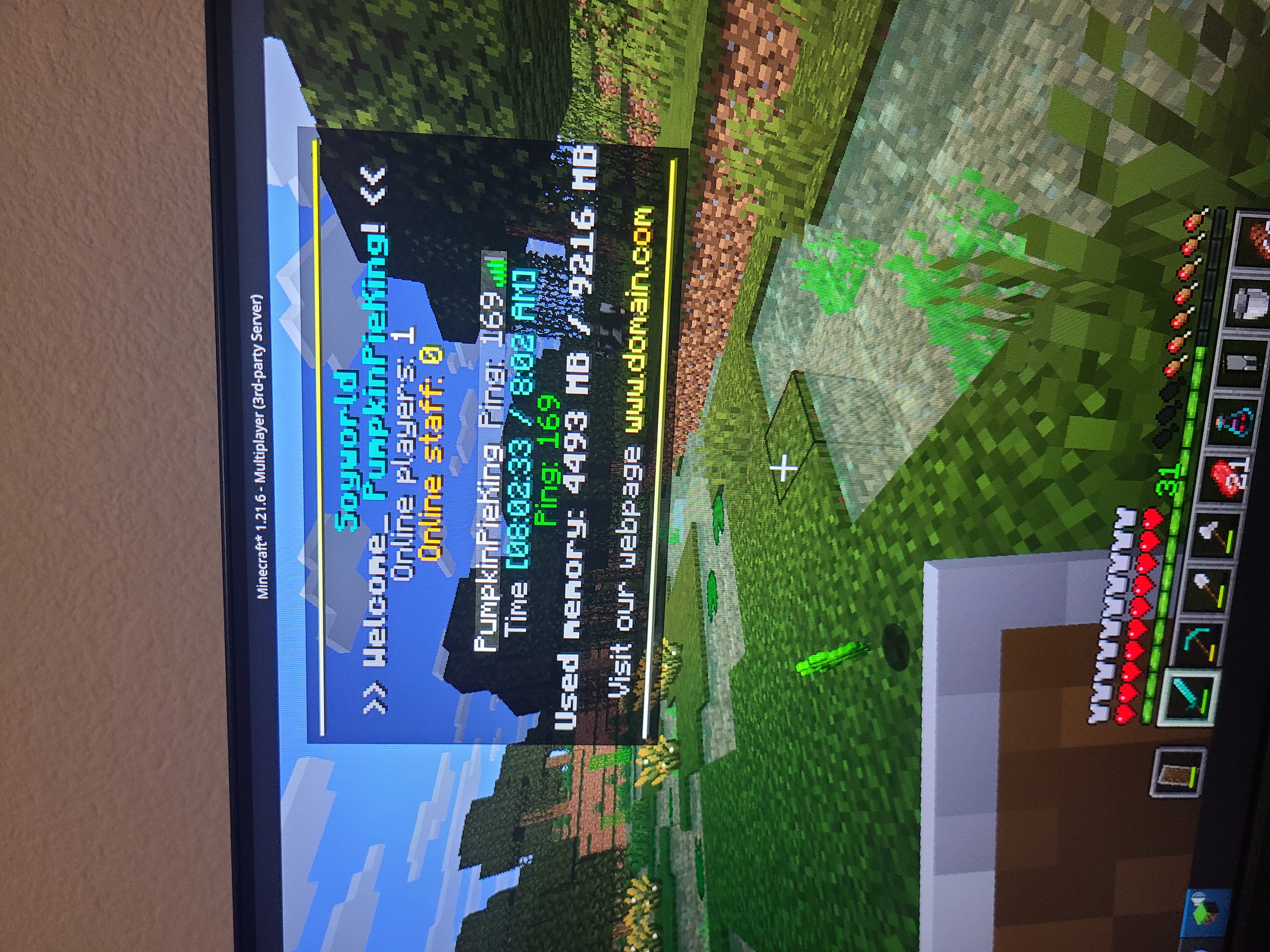 u9w95z.jpg