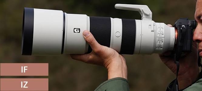 Chim đang bay chụp bằng Sony FE 200-600mm kết hợp teleconverter 1.4x.