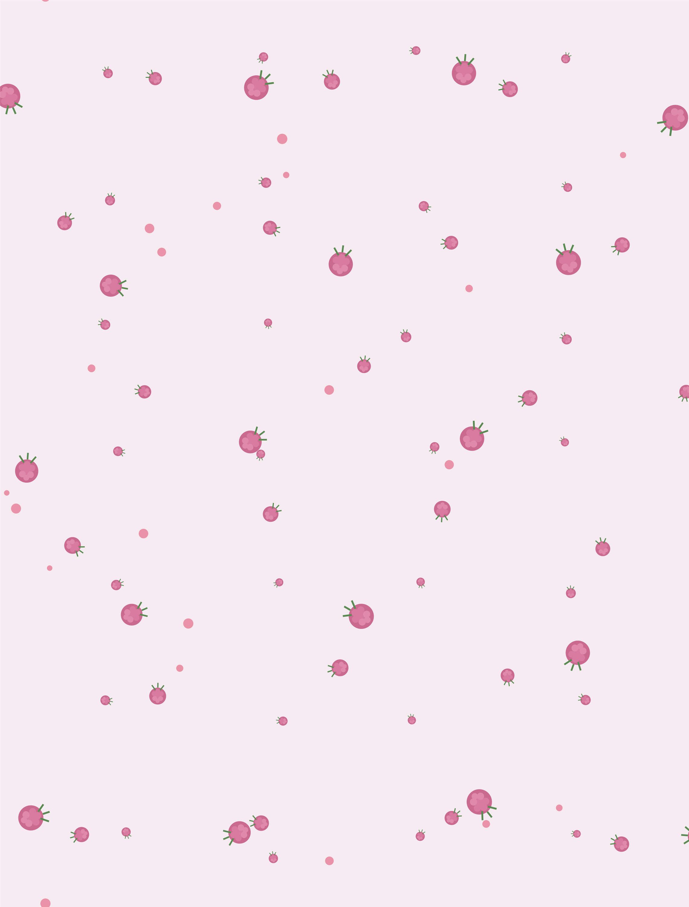 Red Clover — Vermont state flower