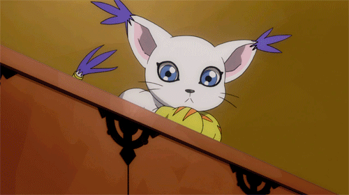 gatomon gif