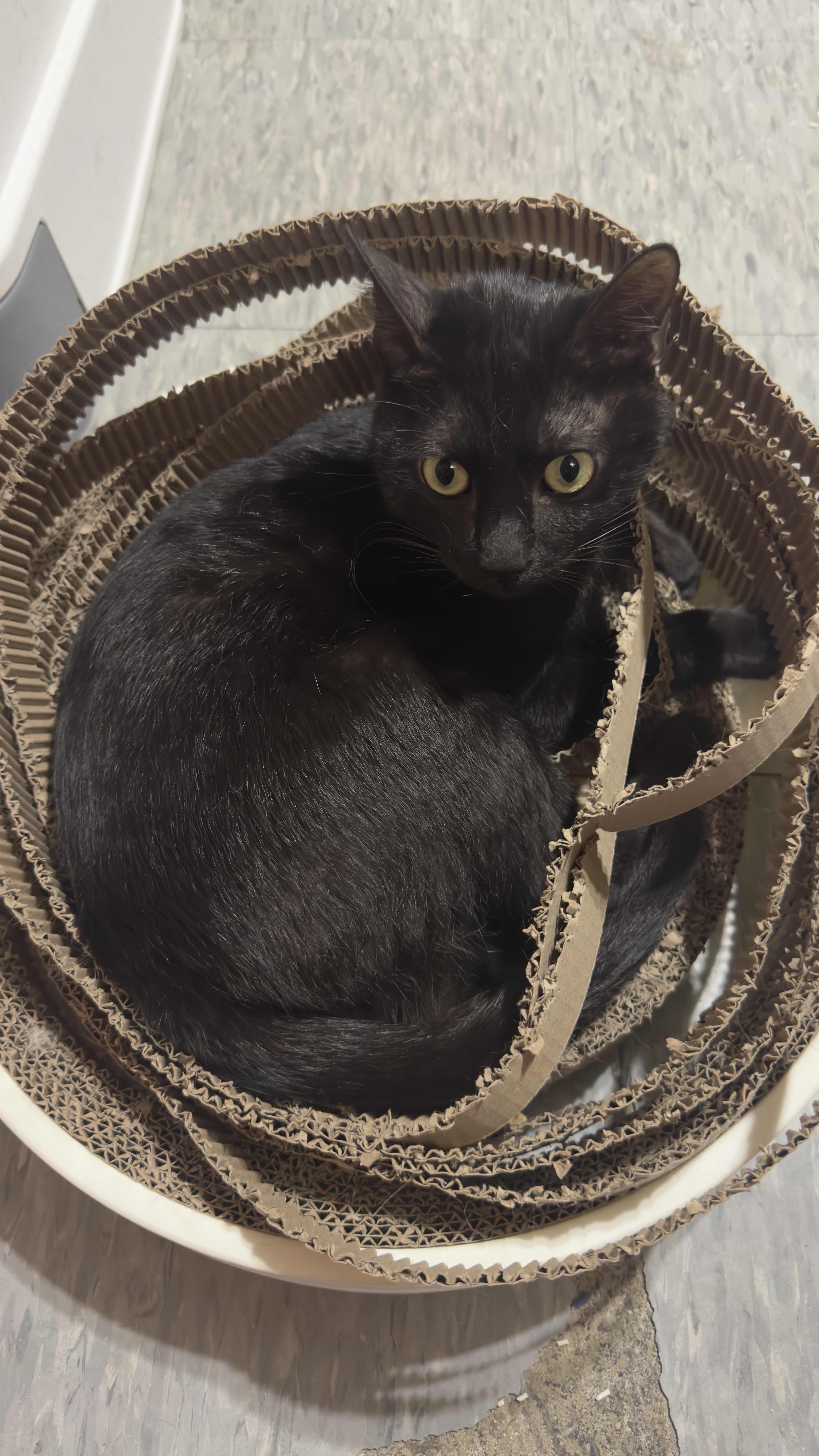 [問卦] 認真發問！！