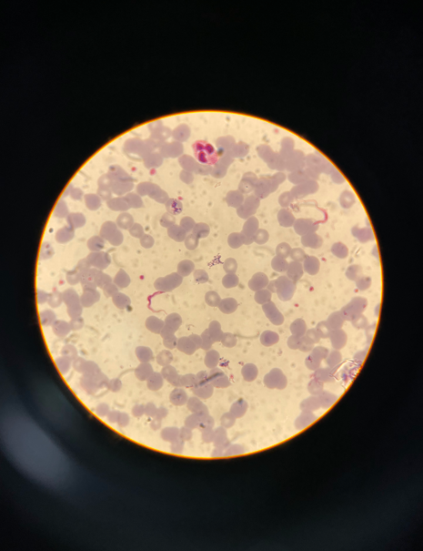 Cheatsheet image example