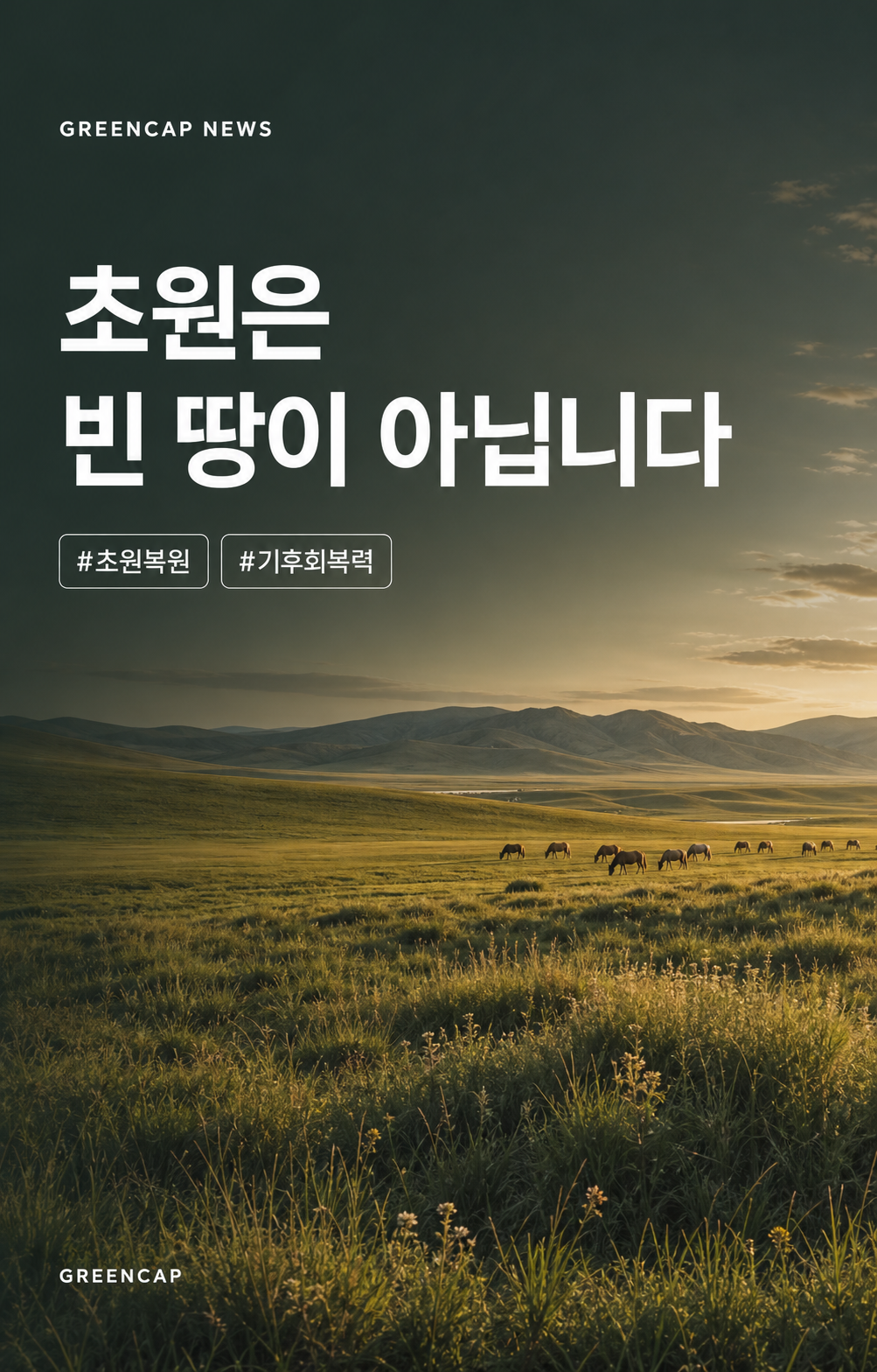 세계 초원 복원과 기후회복력 그린캡뉴스