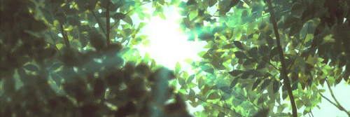 Banner Banner