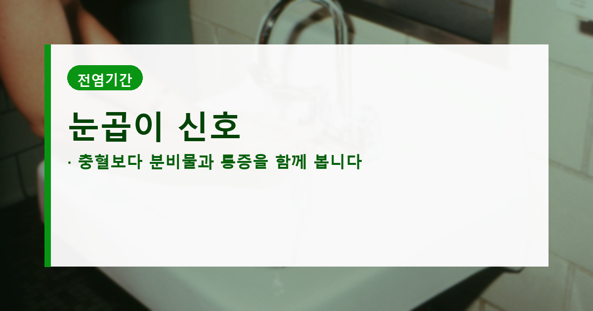 충혈과 눈곱 이물감 등 결막염 증상을 보여주는 본문 배너
