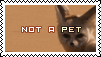 NOT A PET